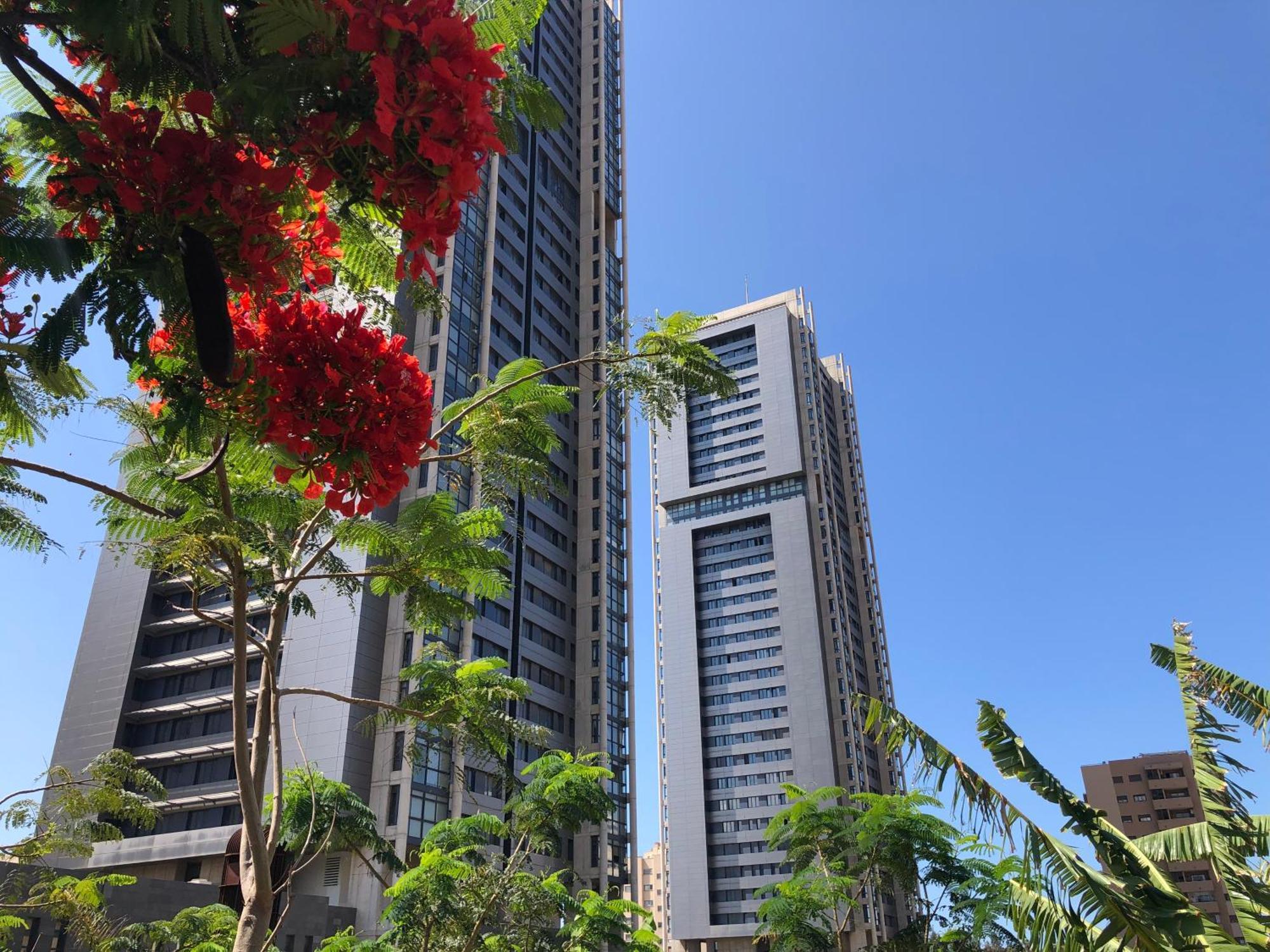 סנטה קרוז דה טנריף Home2Book El Encanto De La Torre I מראה חיצוני תמונה
